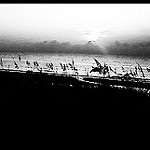 32058891201_2e37e052e1_q